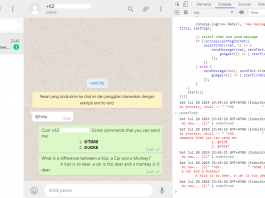whatsapp bot console