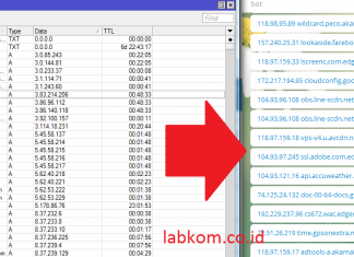 DNS Cache Mikrotik Dikirim Ke Bot Telegram