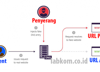 Mencegah Serangan DNS Cache Poisoning pada RouterOS Mikrotik Terbaru