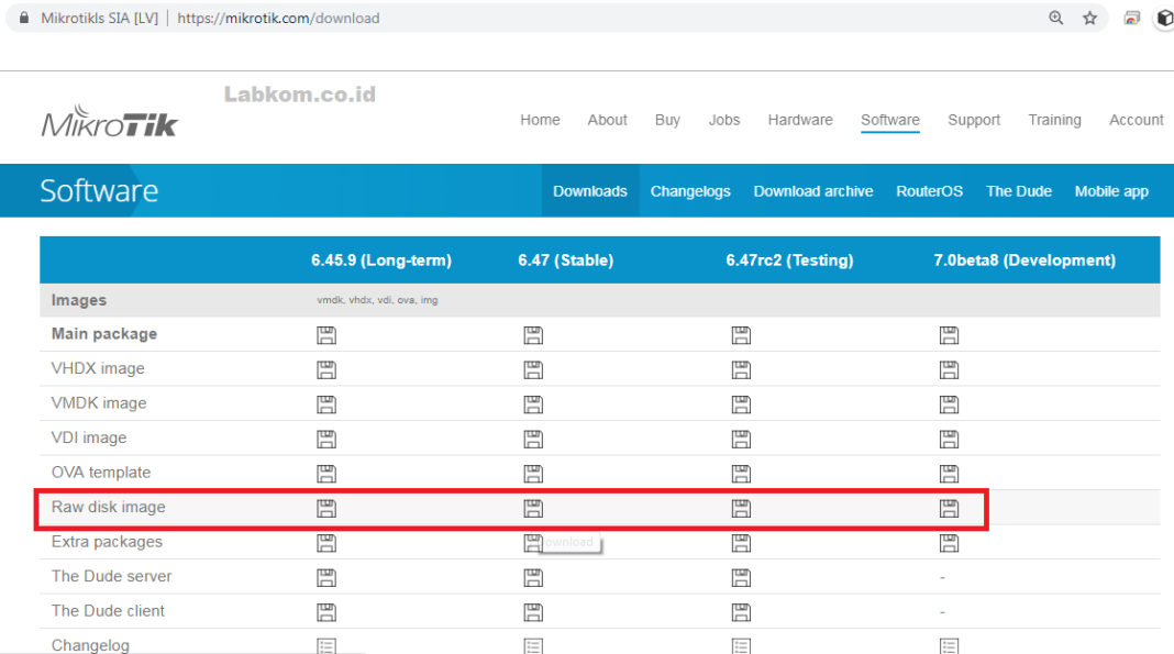 Cloud hosted Router.